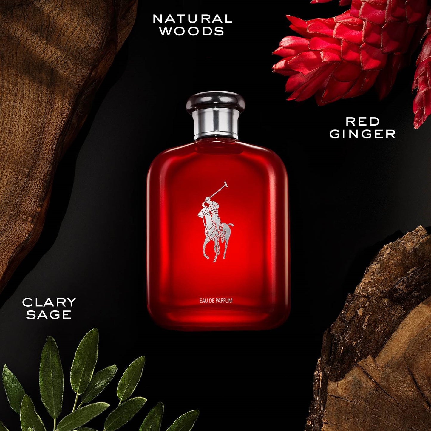 R Lauren Polo Red Parfum MF 125Ml