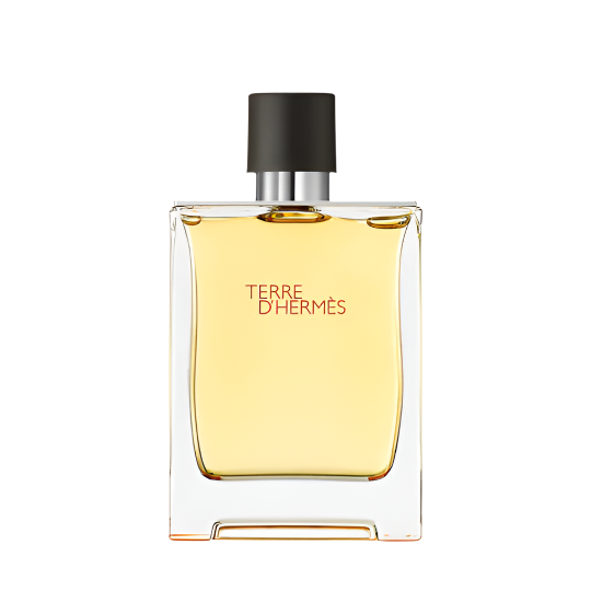 Hermes Terre D'Hermes Pure MF EDP 75 Ml