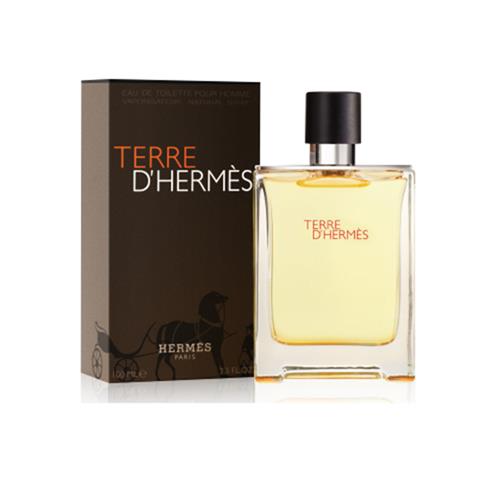 Hermes Terre D'Hermes MF EDT 100 Ml